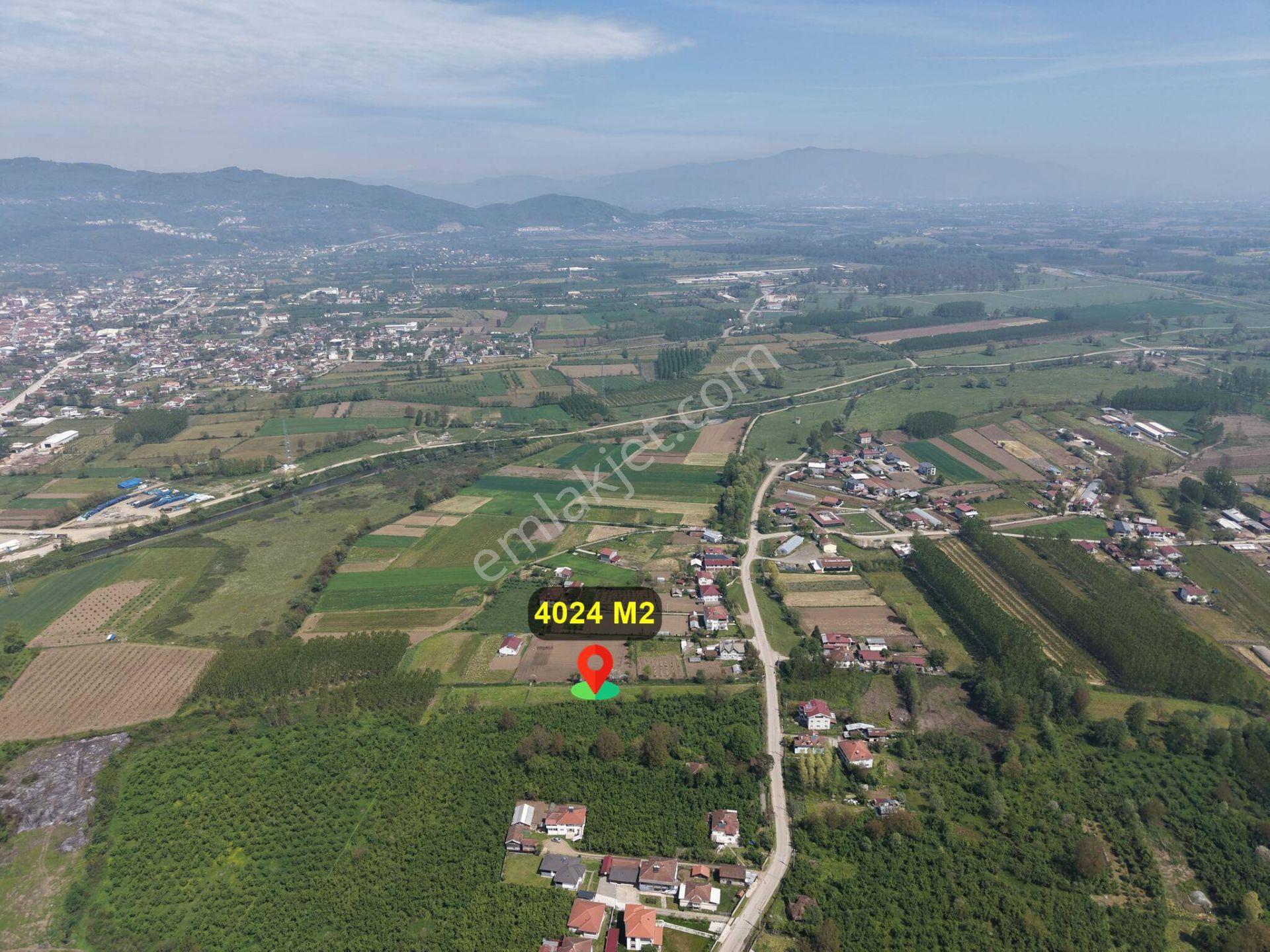 Gölyaka Hacıyakup Köyü’nde Satılık 4.024 M² İmarlı Arsa - Görsel 5