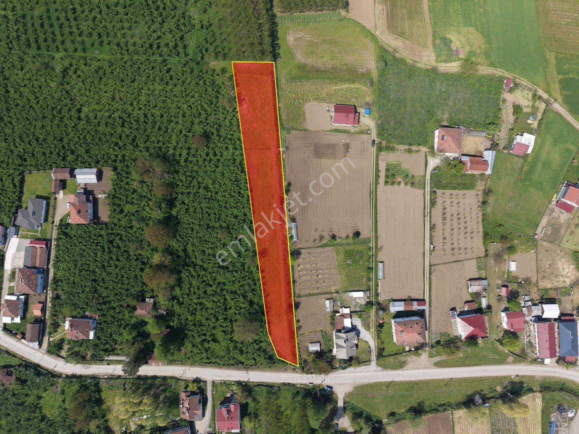 Gölyaka Hacıyakup Köyü’nde Satılık 4.024 M² İmarlı Arsa - Görsel 12