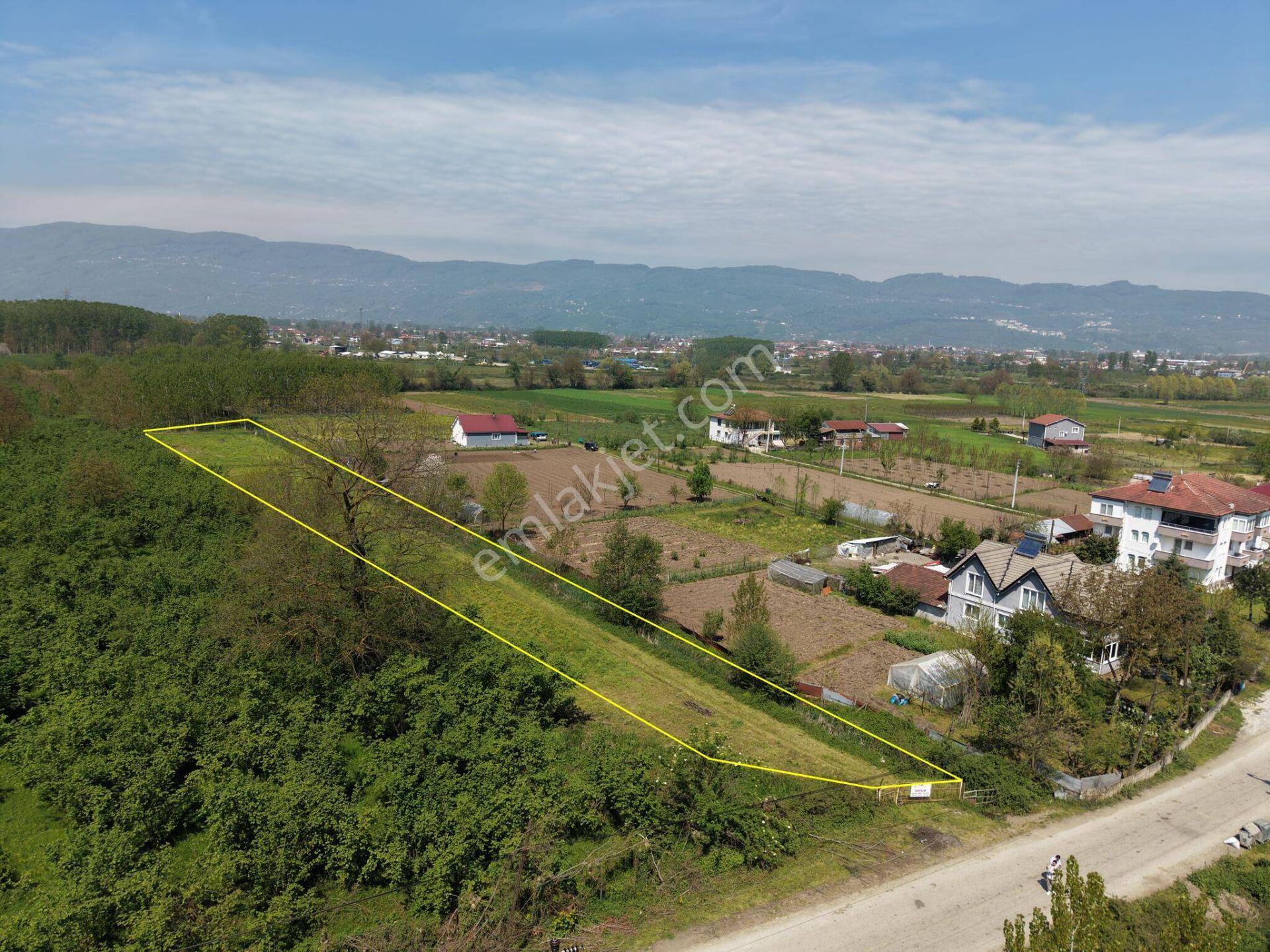 Gölyaka Hacıyakup Köyü’nde Satılık 4.024 M² İmarlı Arsa - Görsel 3