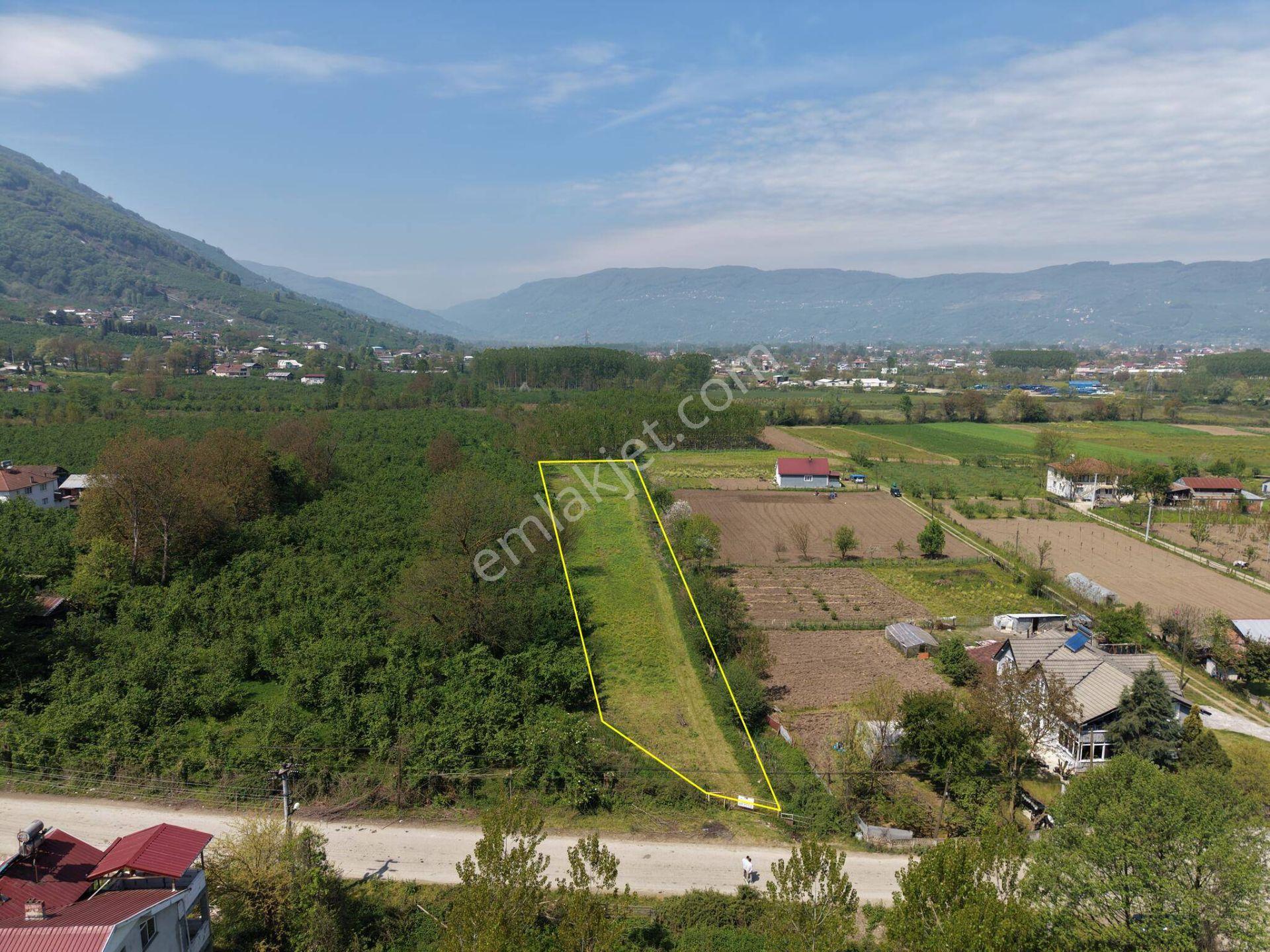 Gölyaka Hacıyakup Köyü’nde Satılık 4.024 M² İmarlı Arsa - Görsel 25