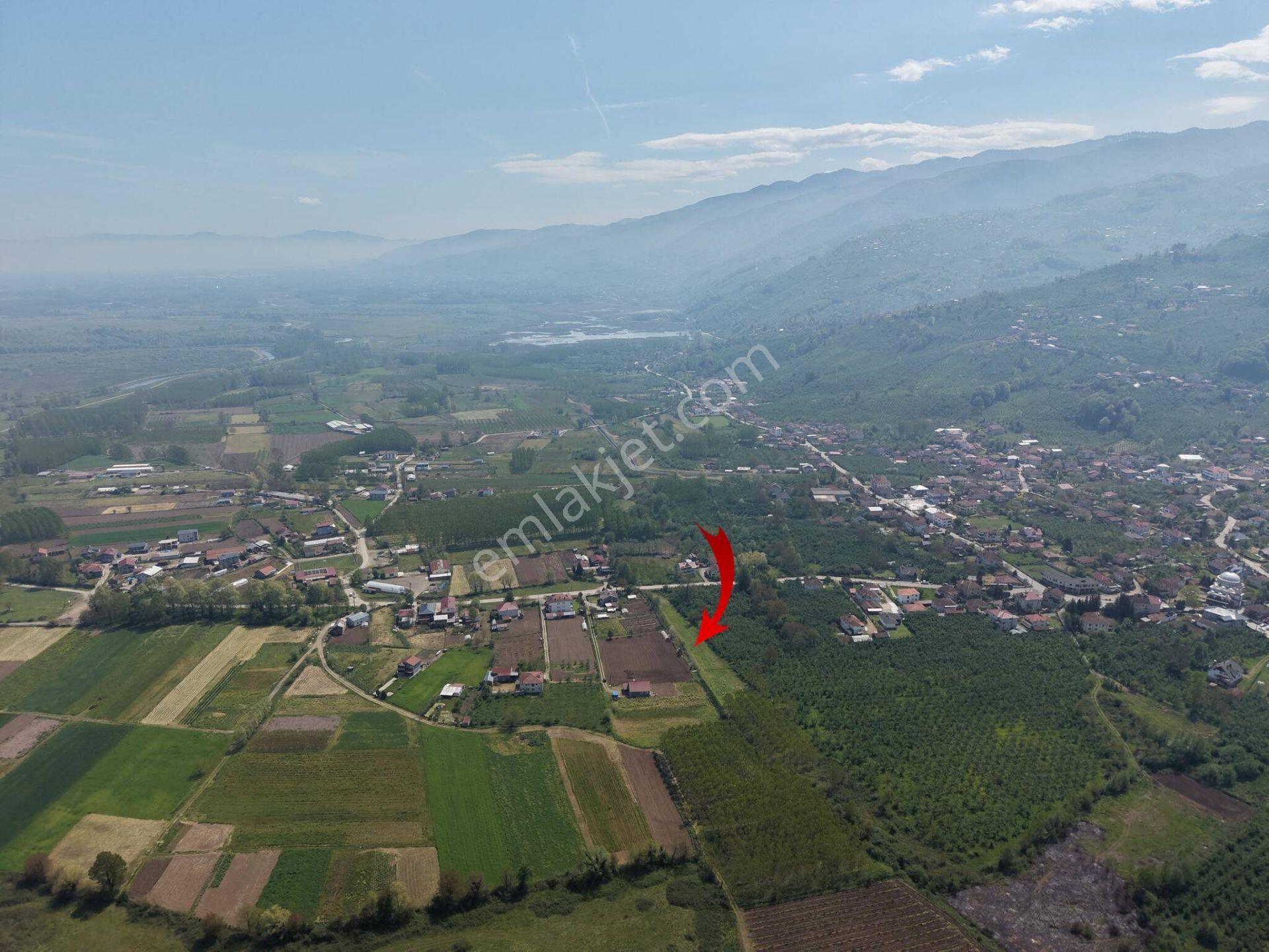 Gölyaka Hacıyakup Köyü’nde Satılık 4.024 M² İmarlı Arsa - Görsel 35