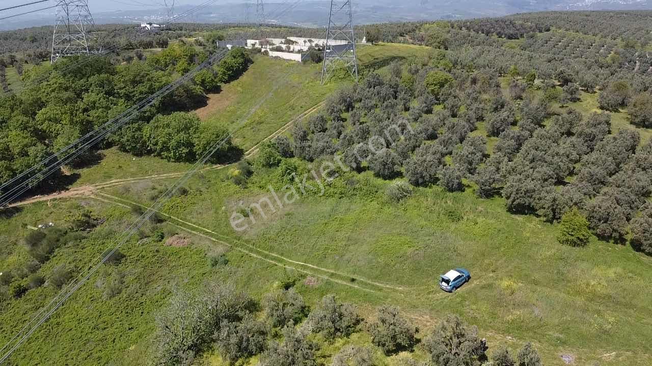 Mudanya Mürsel,de Fırsa Arazi - Görsel 32