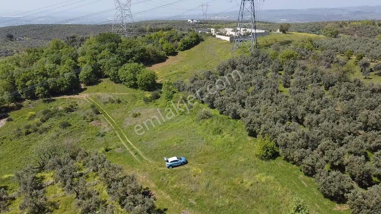 Mudanya Mürsel,de Fırsa Arazi - Görsel 22