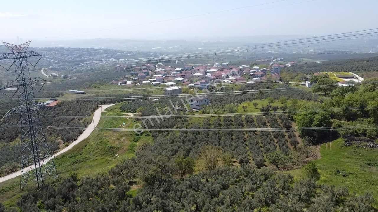 Mudanya Mürsel,de Fırsa Arazi - Görsel 6