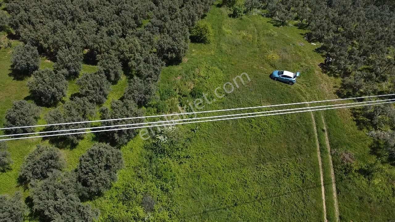 Mudanya Mürsel,de Fırsa Arazi - Görsel 2