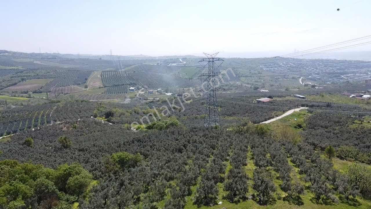 Mudanya Mürsel,de Fırsa Arazi - Görsel 3