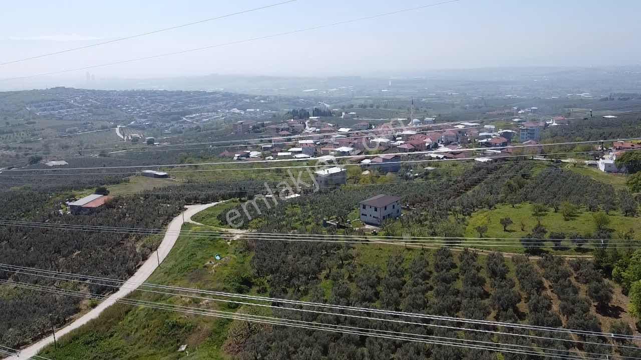 Mudanya Mürsel,de Fırsa Arazi - Görsel 12