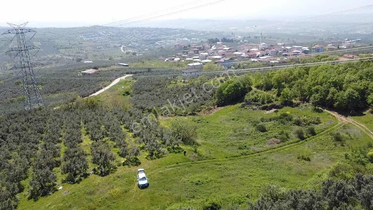 Mudanya Mürsel,de Fırsa Arazi - Görsel 33