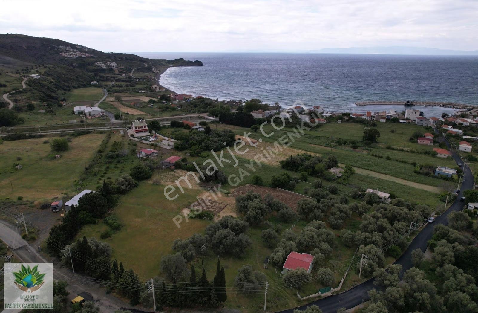 Paifikten Karaburun Tepebozda 817 M² Denize 200 Metre Arazi - Görsel 5
