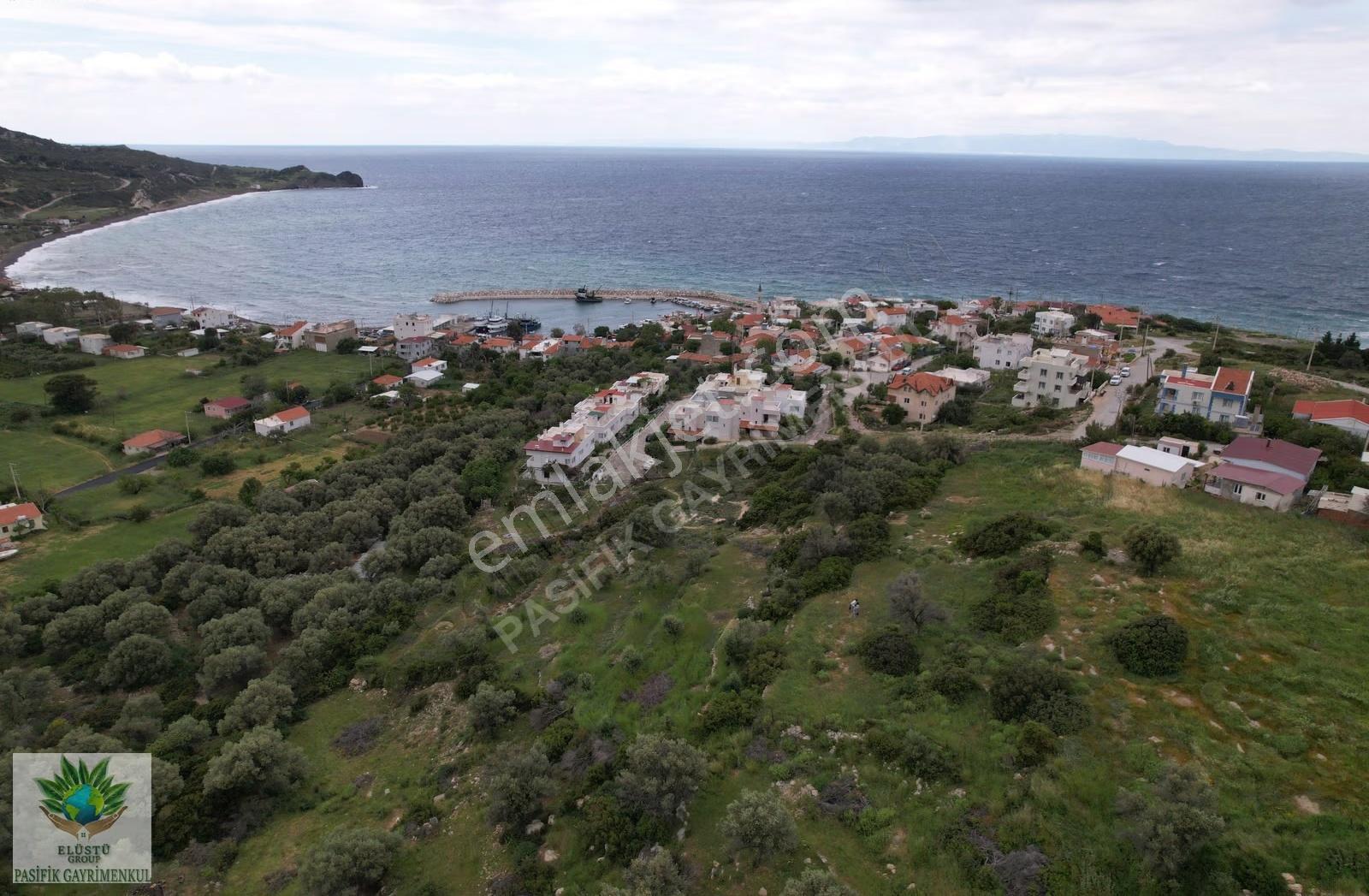 Pasifikten Karaburun Tepebozda 3.365 M² Hisseli Tapu Tarla - Görsel 7