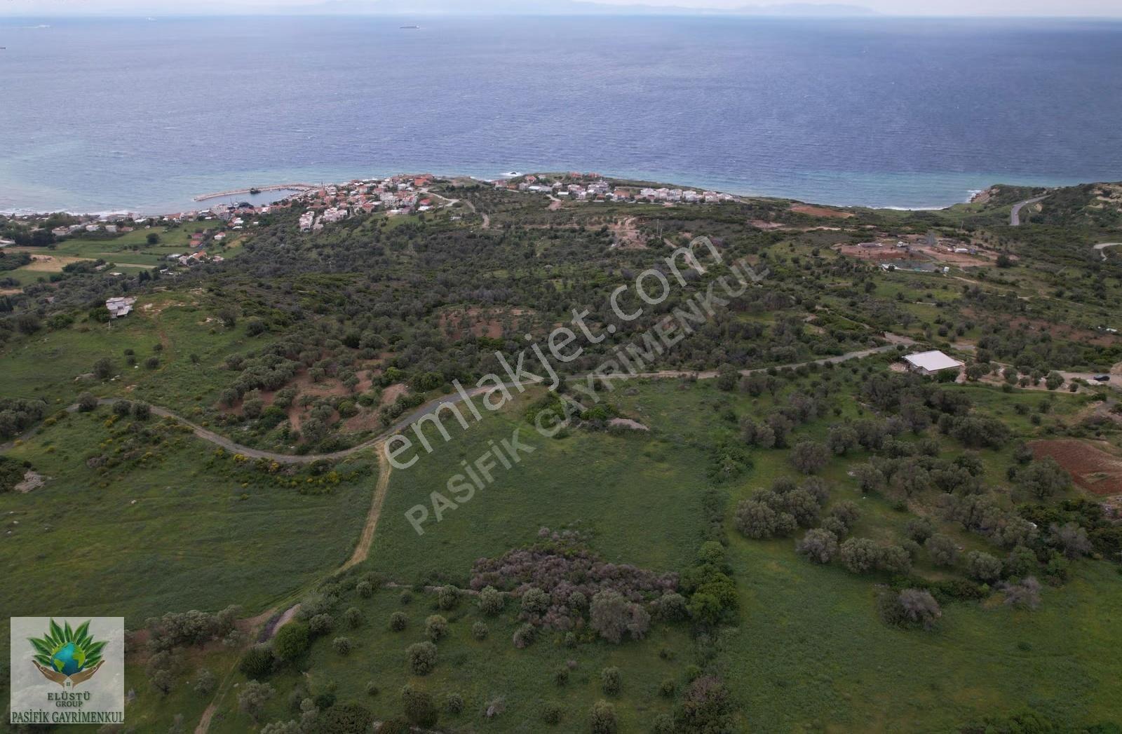 Pasifikten Karaburun Tepebozda 3.365 M² Hisseli Tapu Tarla - Görsel 6