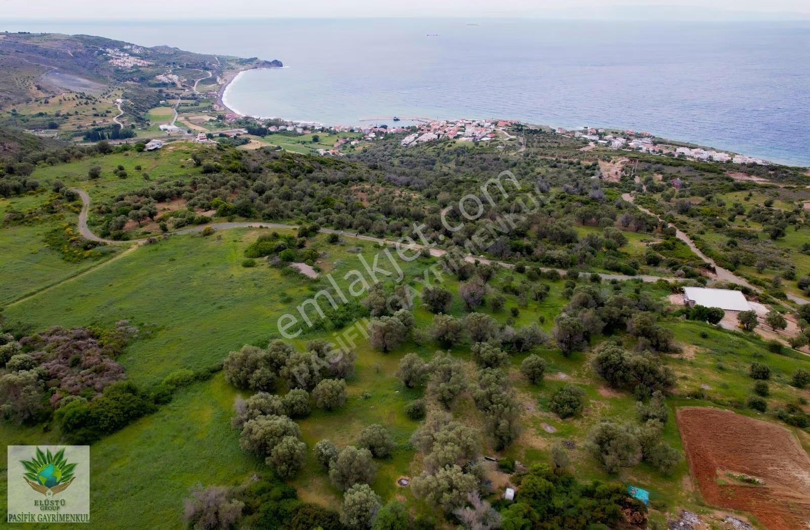 Pasifikten Karaburun Tepebozda 2.587 M² Deniz Manzaralı Tarla - Görsel 5