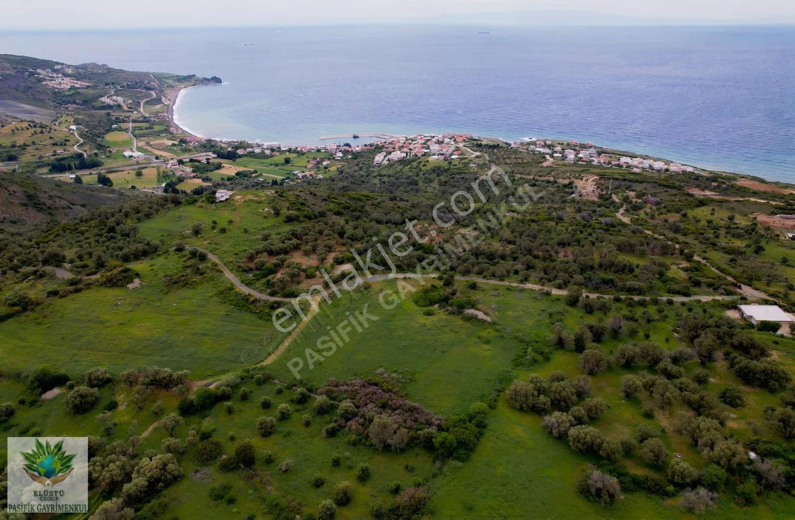 Pasifikten Karaburun Tepebozda 2.587 M² Deniz Manzaralı Tarla - Görsel 3