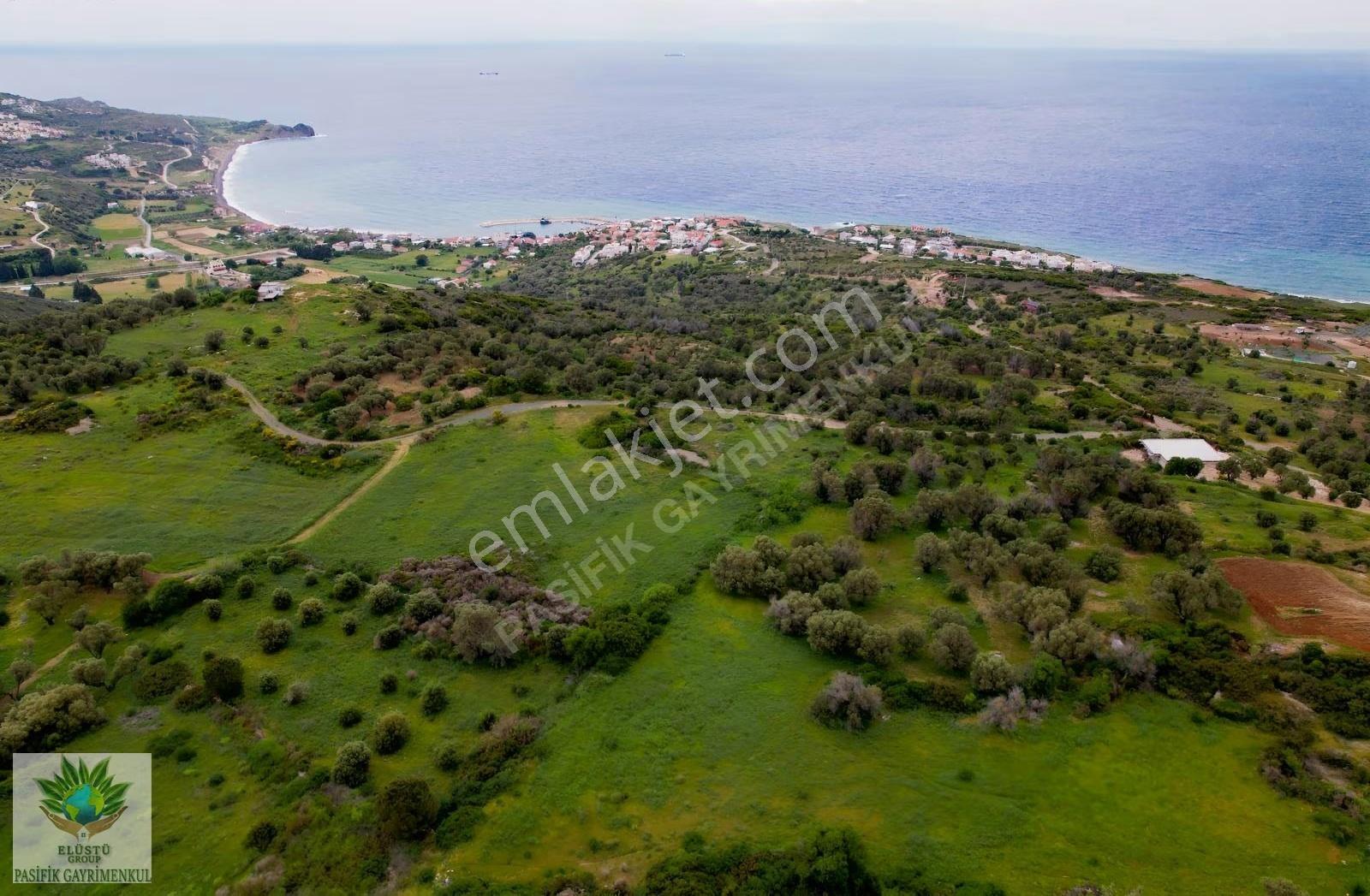 Pasifikten Karaburun Tepebozda 2.587 M² Deniz Manzaralı Tarla