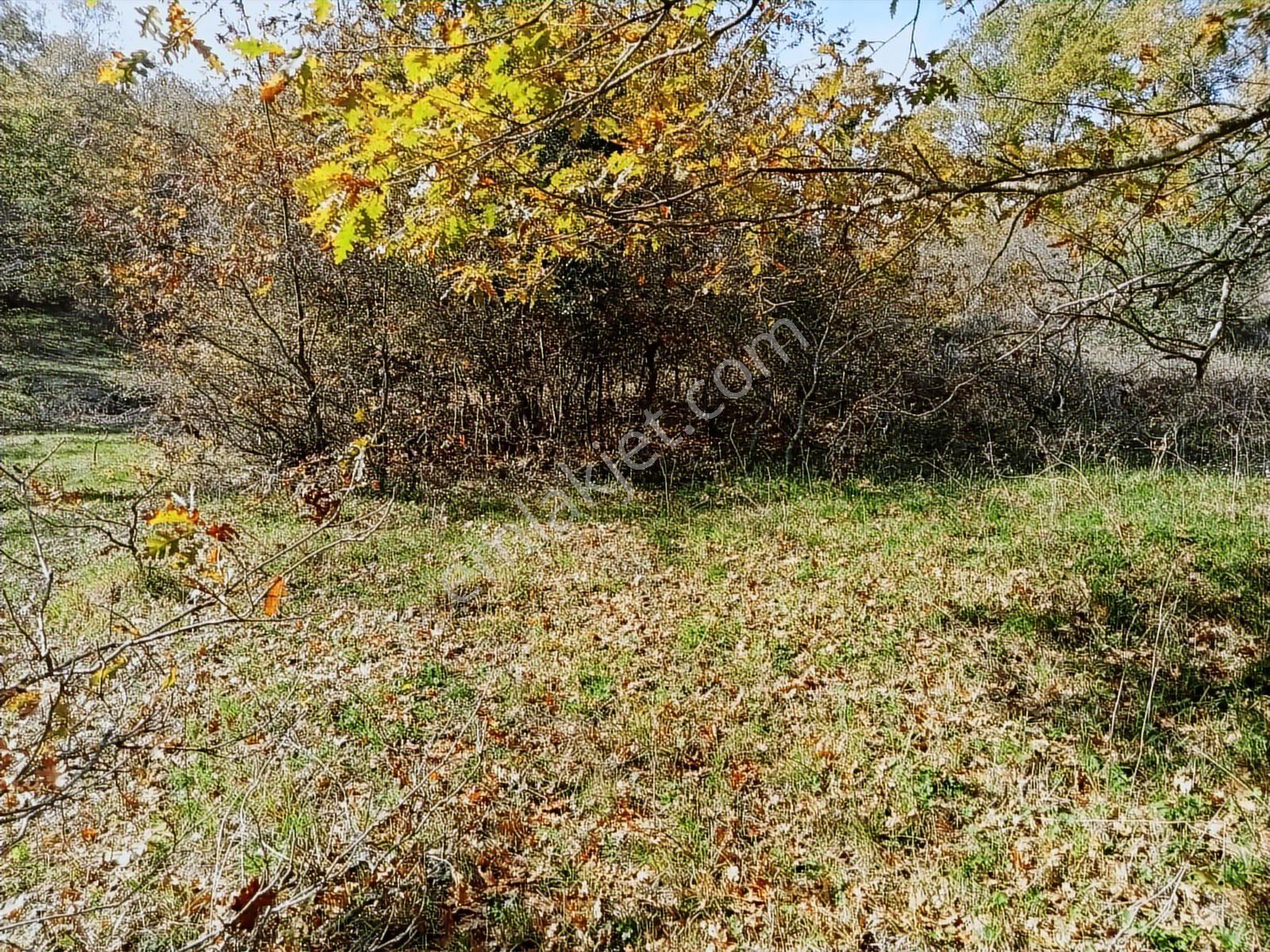 Kocaeli Kandıra Balcı Köyünde Toplulaştırmada 665 M2 - Görsel 9