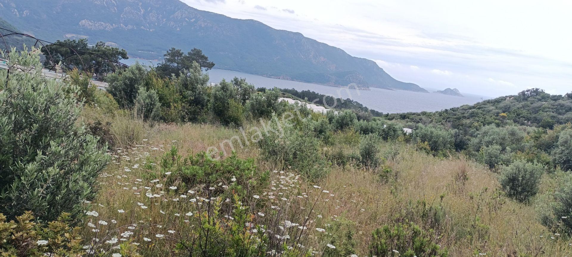 Kumluca Yenicepınar Da Deniz Manzaralı Satılık Arsa-tarla - Görsel 16