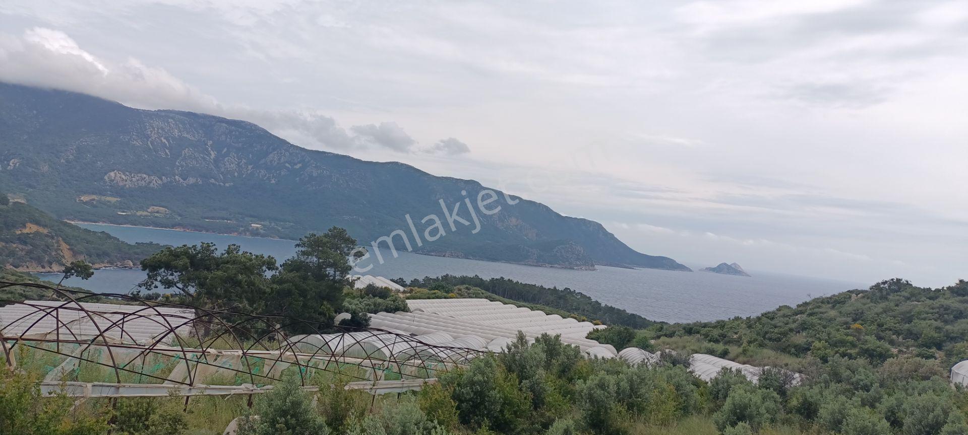 Kumluca Yenicepınar Da Deniz Manzaralı Satılık Arsa-tarla - Görsel 7