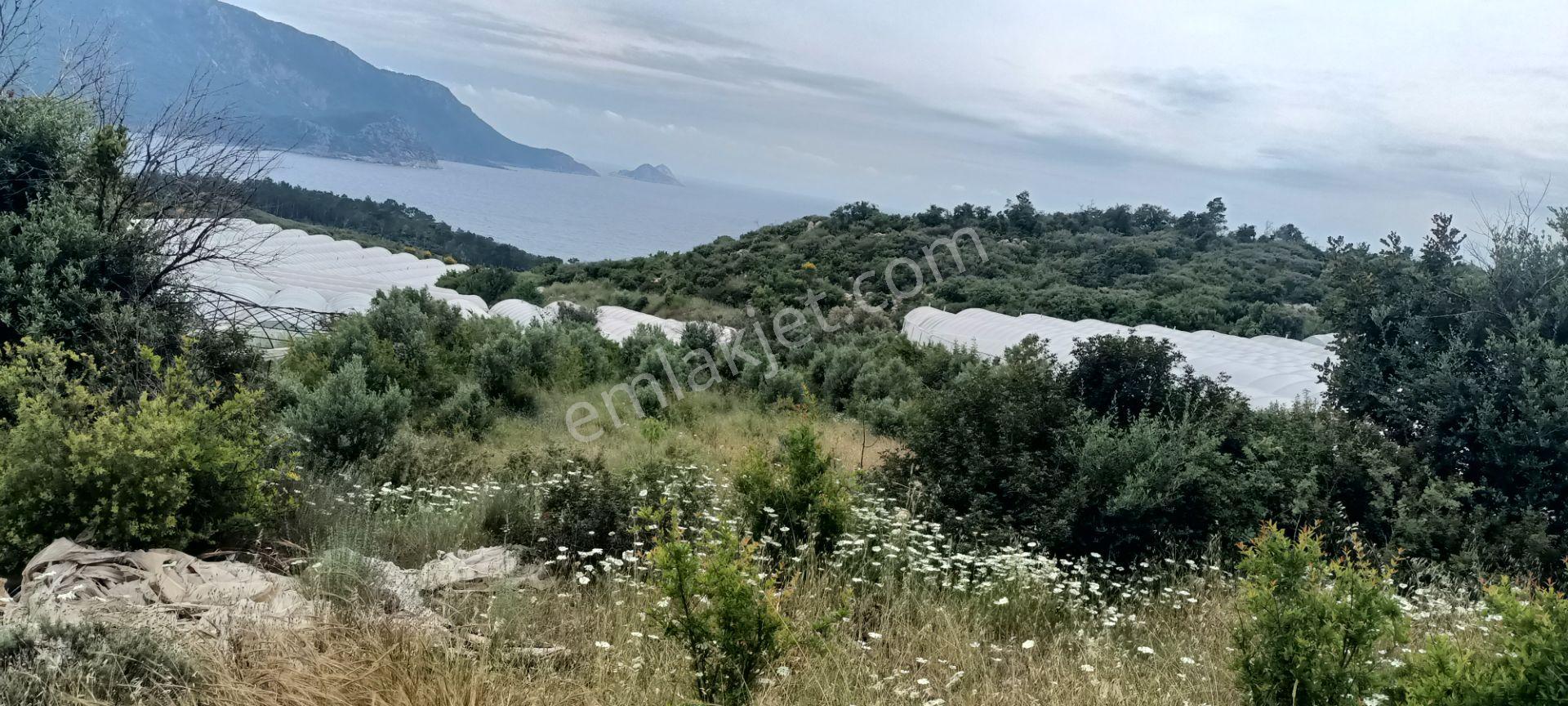 Kumluca Yenicepınar Da Deniz Manzaralı Satılık Arsa-tarla - Görsel 9