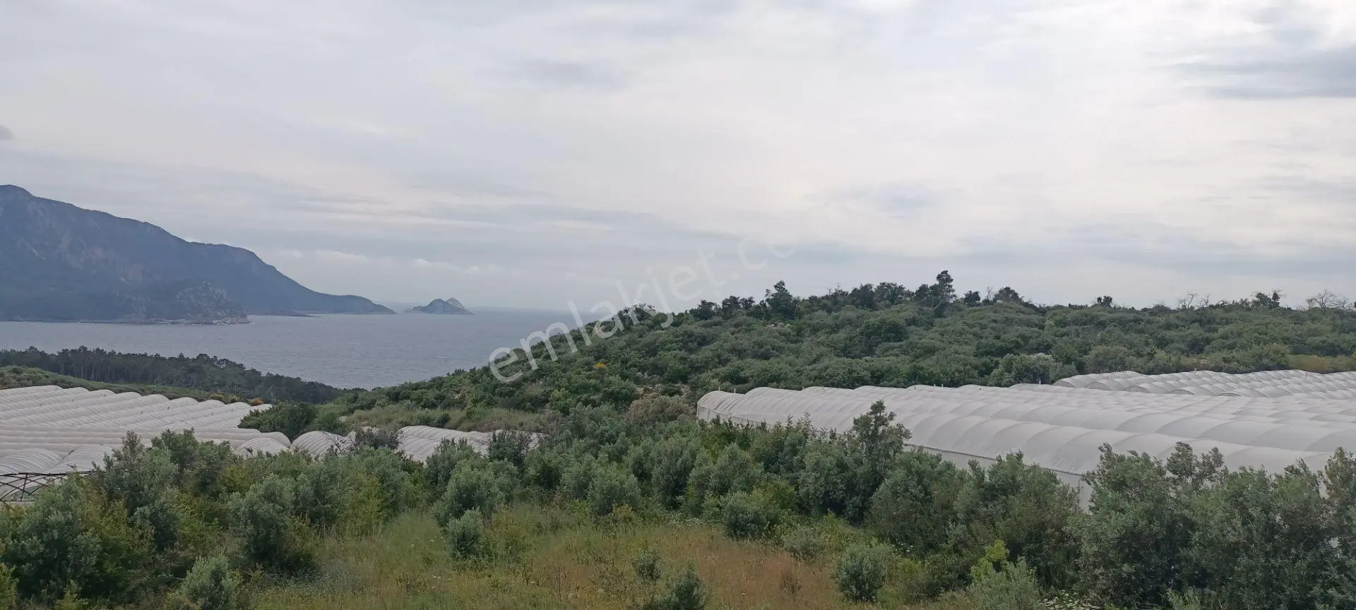 Kumluca Yenicepınar Da Deniz Manzaralı Satılık Arsa-tarla - Görsel 5