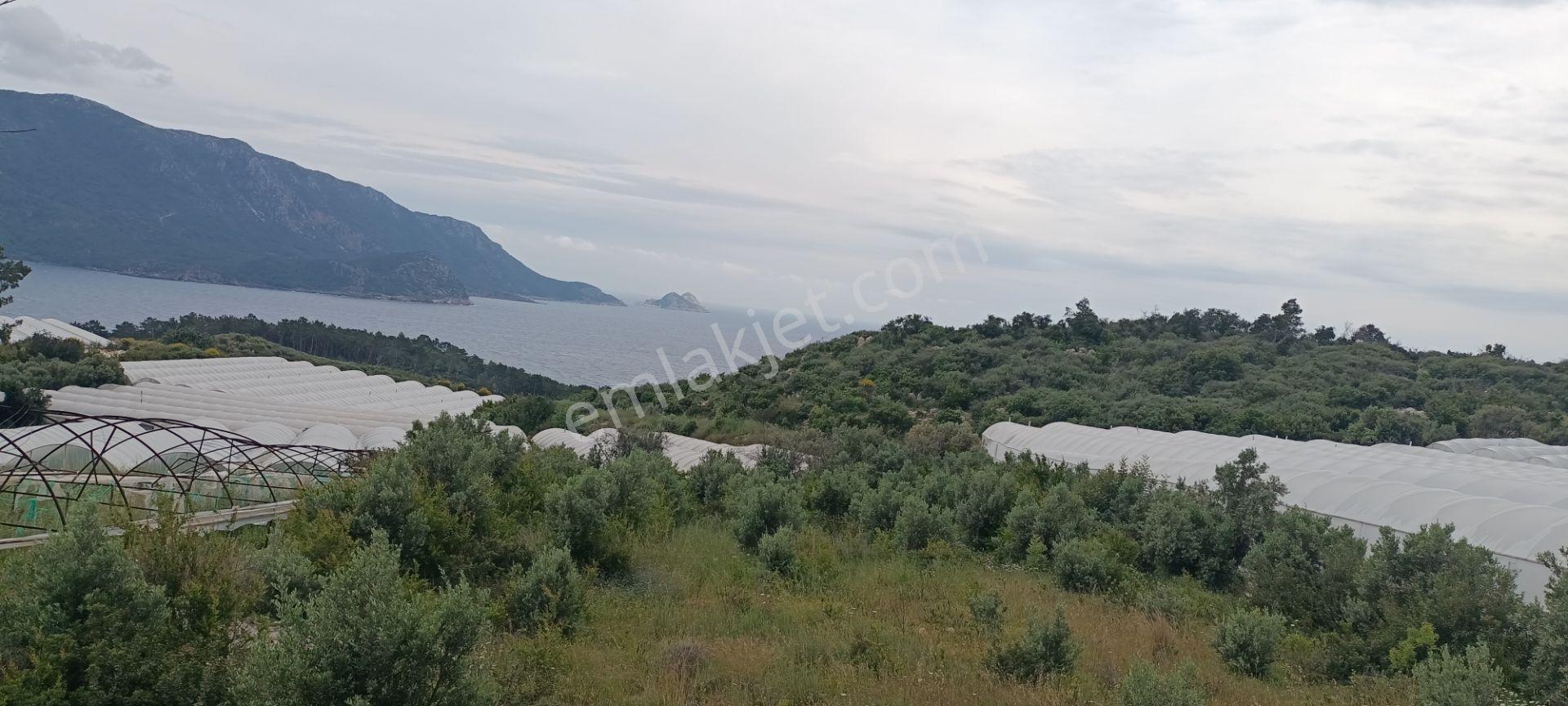 Kumluca Yenicepınar Da Deniz Manzaralı Satılık Arsa-tarla - Görsel 20