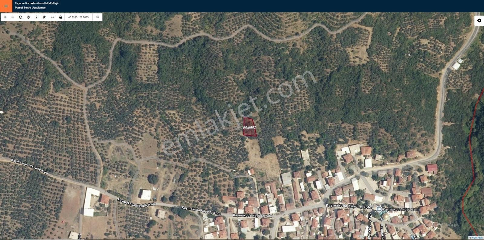 Mudanya Kaymakoba Köyünde Satılık Fırsat Zeytinlik - Görsel 3