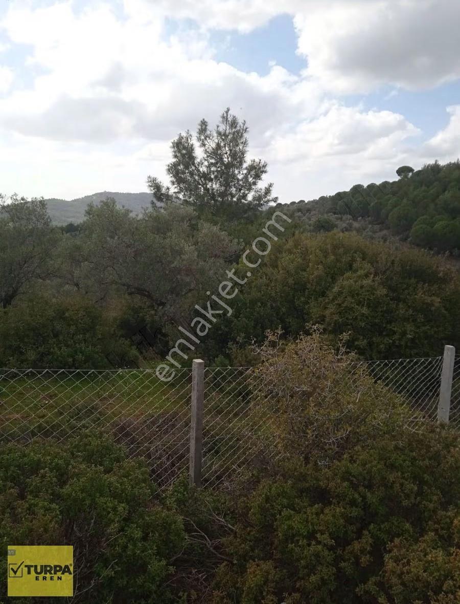 Torbalı Helvacı Köy Satın Tek Arazi - Görsel 5