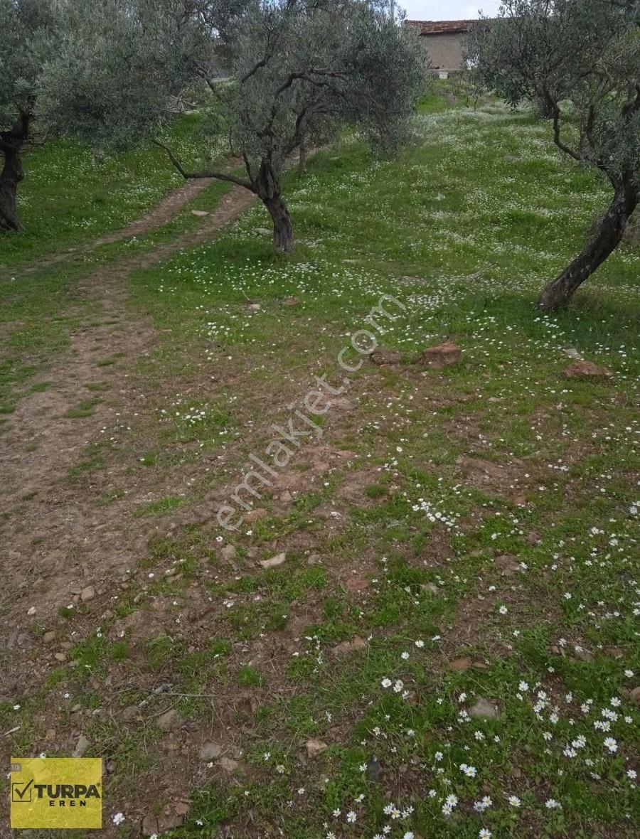 Torbalı Helvacı Köy Satın Tek Arazi - Görsel 8