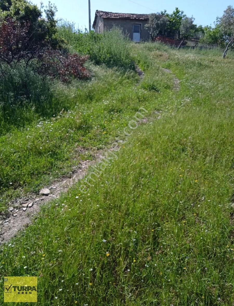 Torbalı Helvacı Köy Satın Tek Arazi - Görsel 13