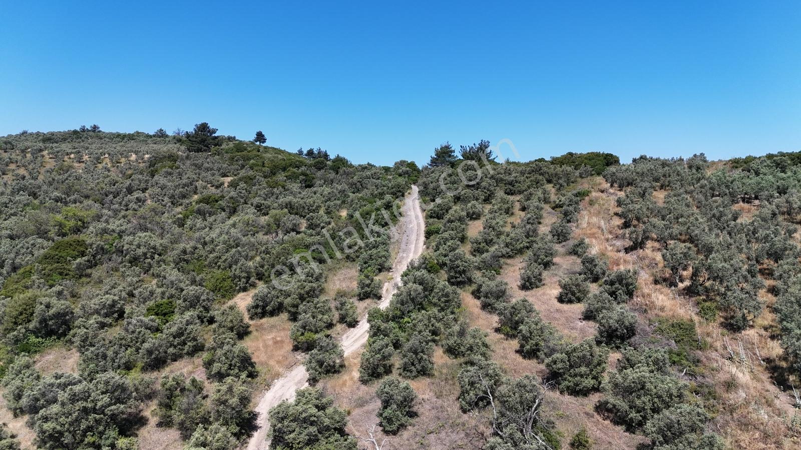 Mudanya Halitpaşa İmara 400 Mt. Deniz Manzaralı Yatırımlık Arazi - Görsel 7