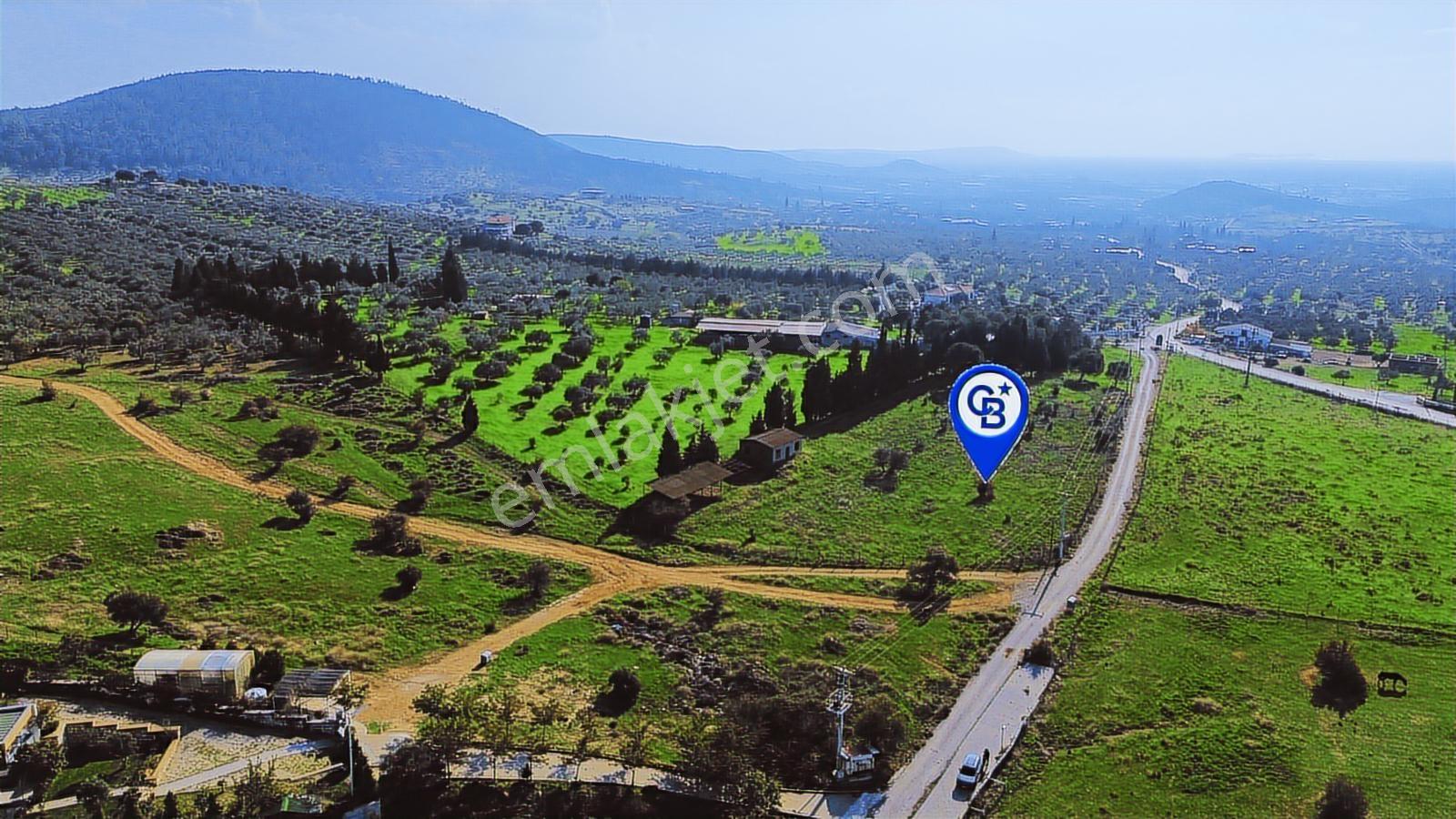 Foça Yeniköy'de Satılık Deniz Manzaralı Tarla - Görsel 26