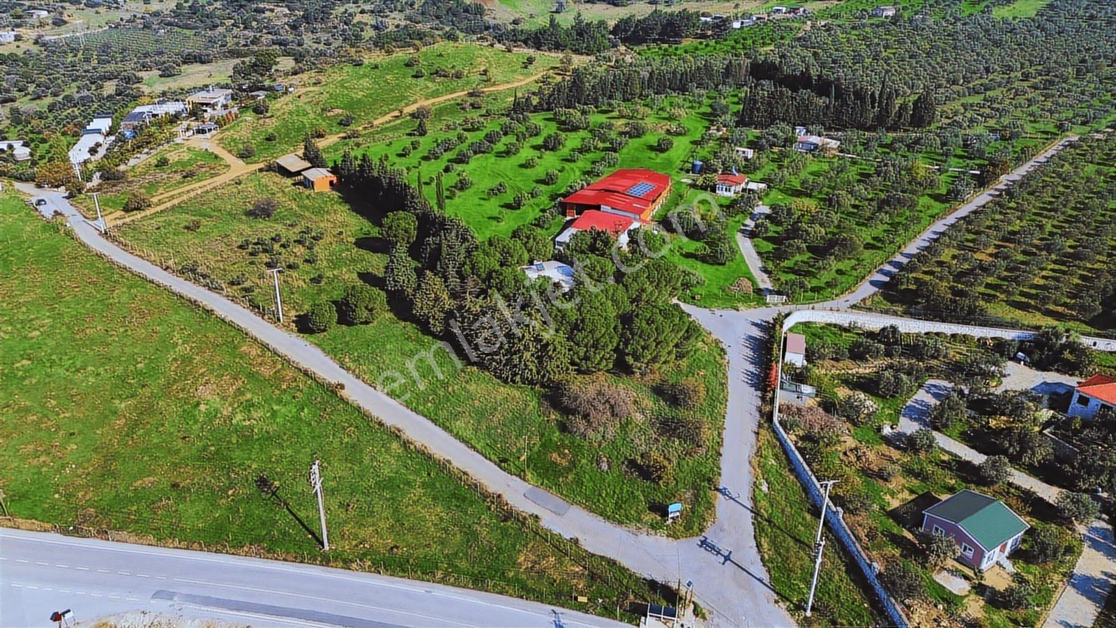 Foça Yeniköy'de Satılık Deniz Manzaralı Tarla - Görsel 10