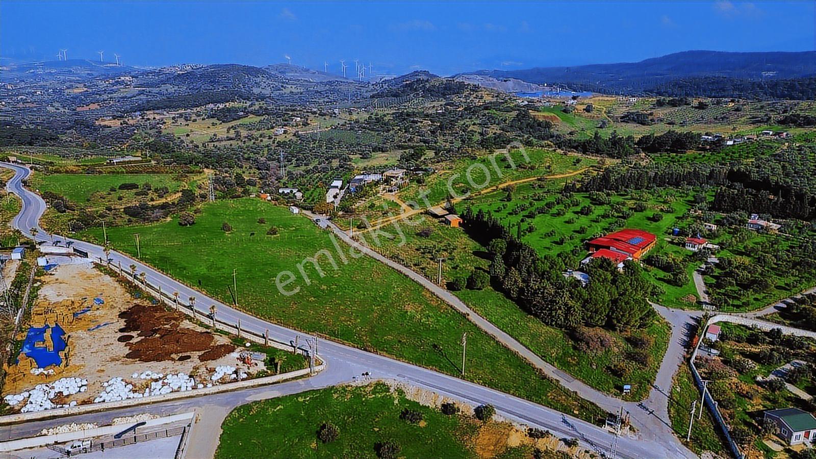 Foça Yeniköy'de Satılık Deniz Manzaralı Tarla - Görsel 20