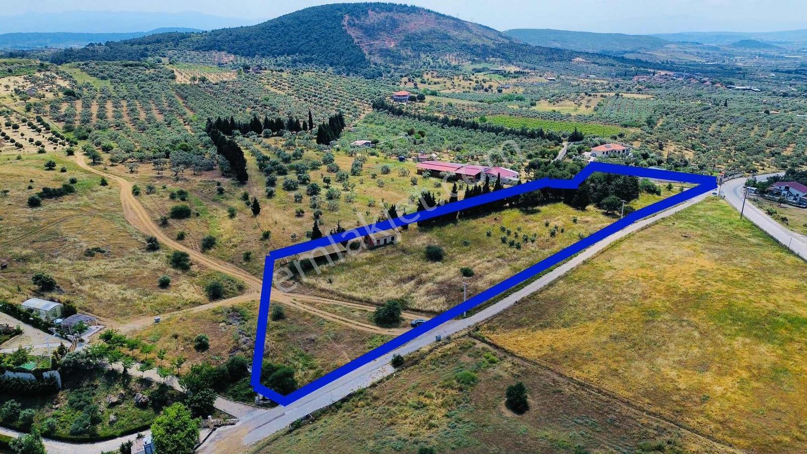 Foça Yeniköy'de Satılık Deniz Manzaralı Tarla - Görsel 34
