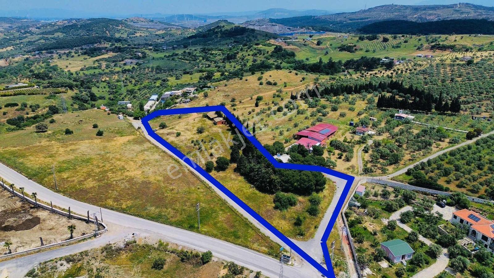 Foça Yeniköy'de Satılık Deniz Manzaralı Tarla