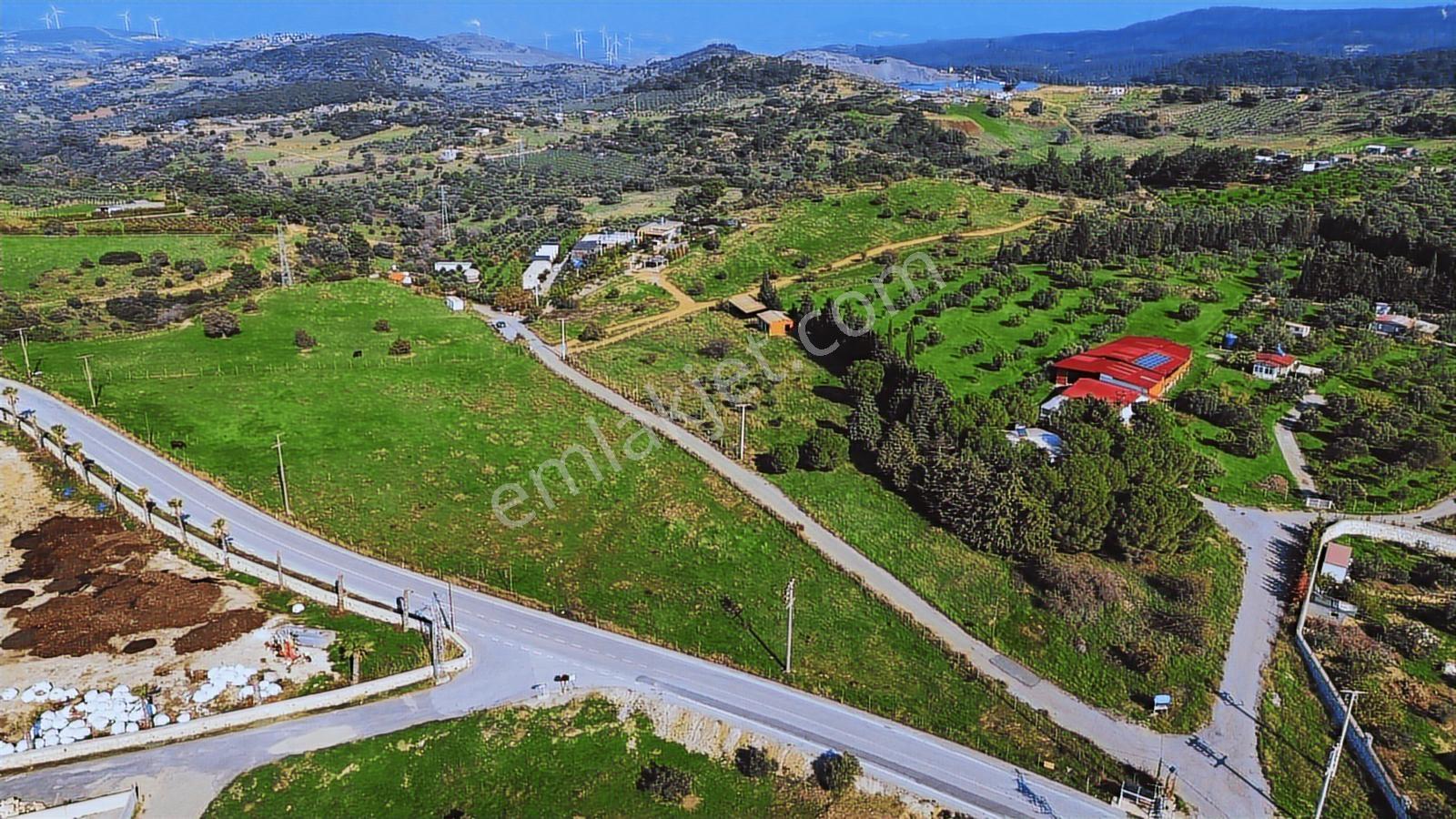 Foça Yeniköy'de Satılık Deniz Manzaralı Tarla - Görsel 23