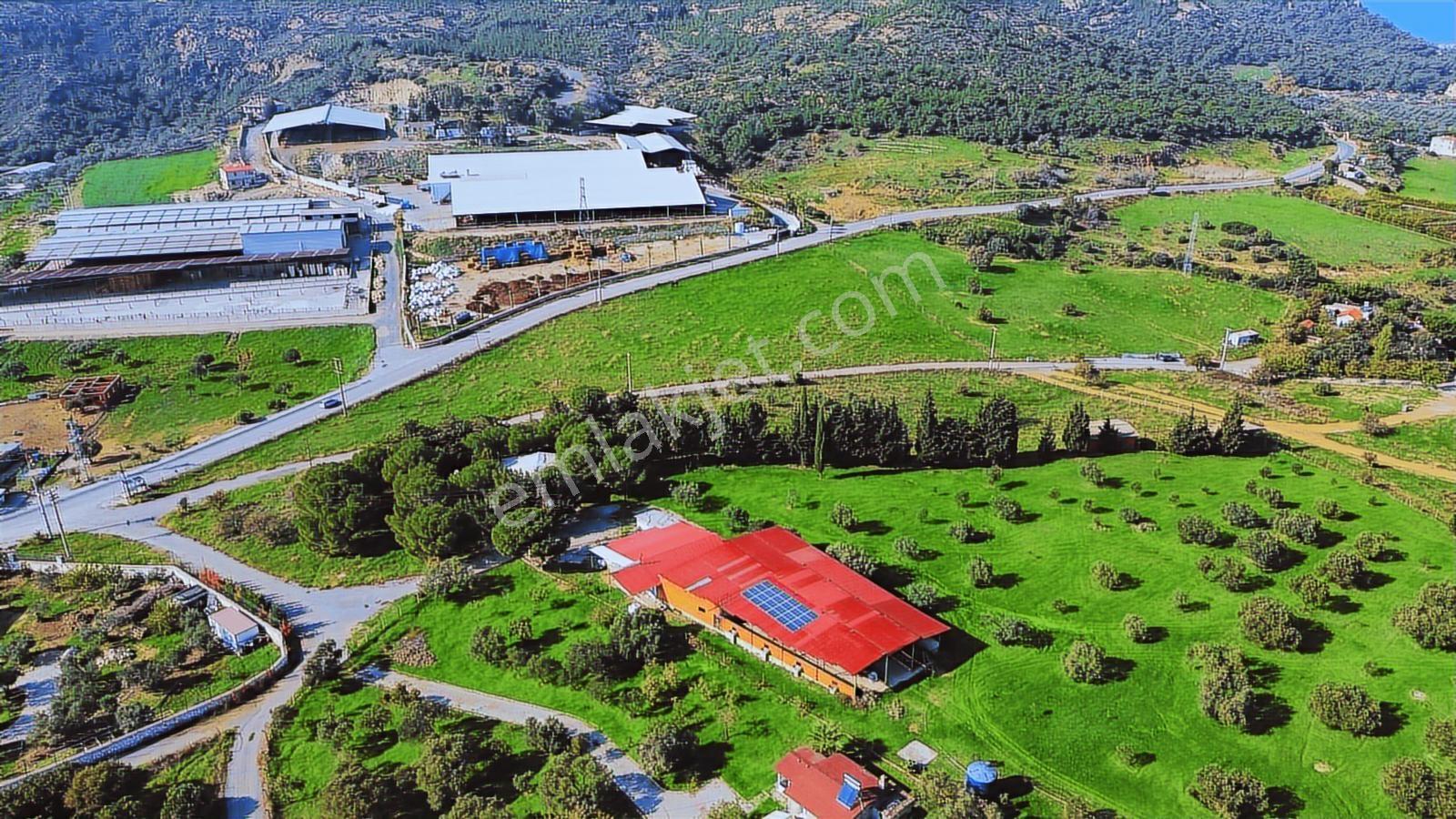 Foça Yeniköy'de Satılık Deniz Manzaralı Tarla - Görsel 24