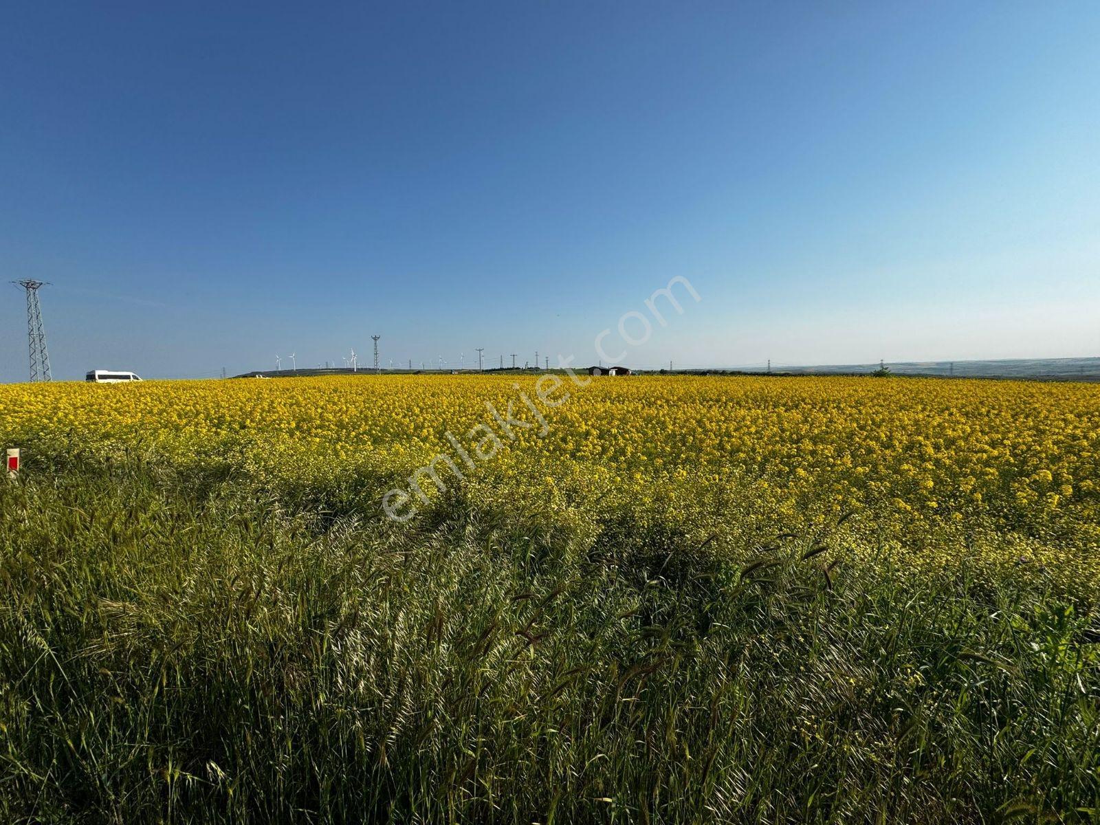 Villalik Arsa