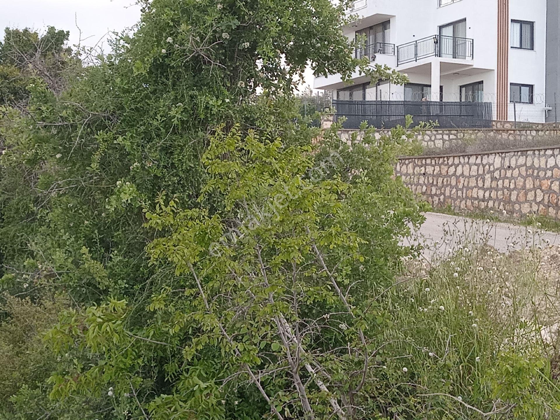 Mersin Erdemli İlemin Mah.de Esentepe Konutları Civarında 976 M.kare Satlık Tarla - Görsel 7