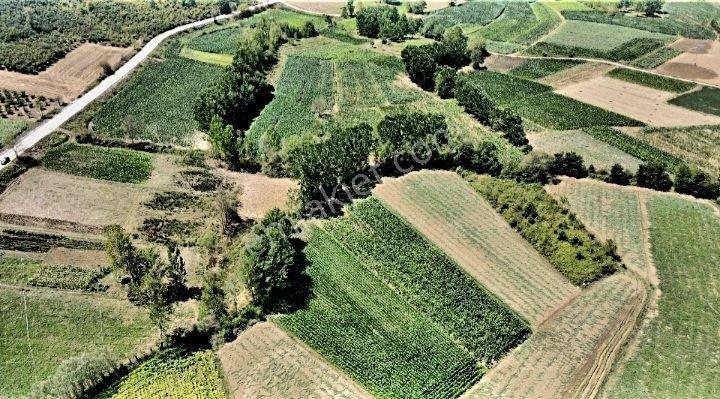 Kandırada Toplulaştırma Planı İçinde 1150 M² Yerimiz Satılıktır - Görsel 4