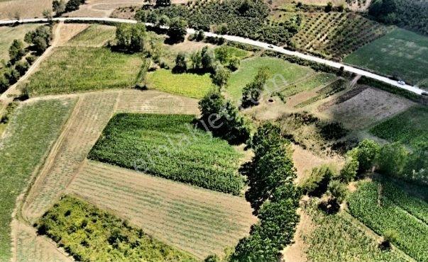 Kandırada Toplulaştırma Planı İçinde 1150 M² Yerimiz Satılıktır - Görsel 7