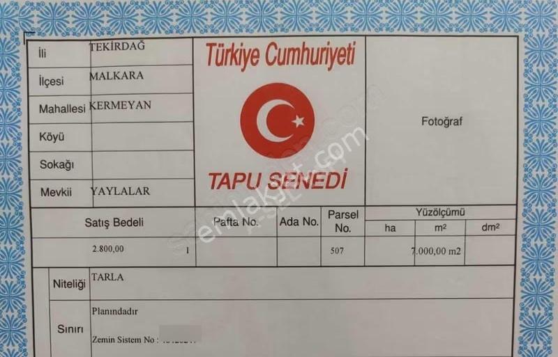 Tekirdağ Malkara Da 68 Dönüm - Görsel 21