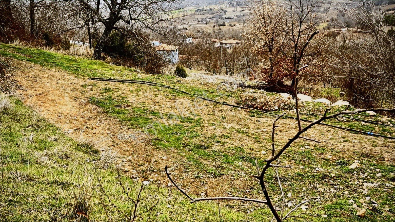 Bilecik Gölpazarı Köy İçi Ev Yapılabilir Yerimiz Satılıktır - Görsel 10