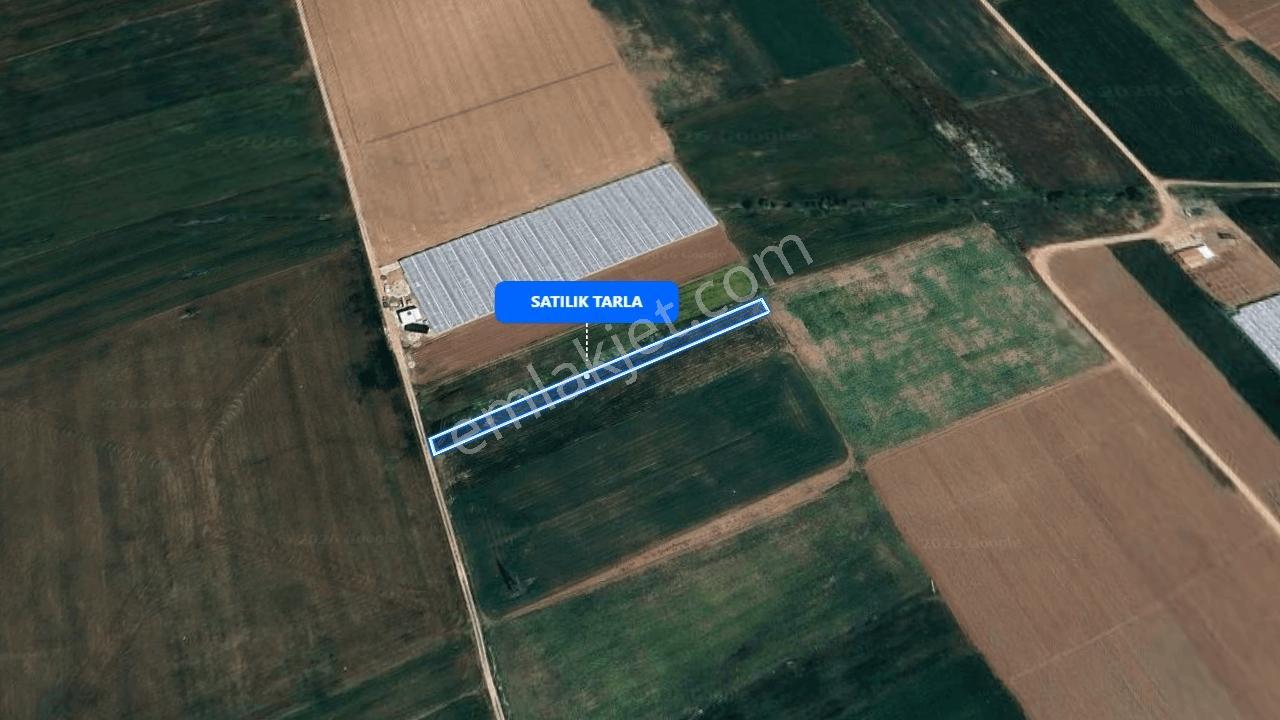 Tarıma Ve Hobi Bahçesine Uygun 1.326m2 Tarla - Görsel 2