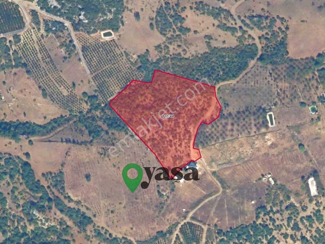 Yaşa Gyd - Kayrakeşlikte 20.385 M² Tek Parça Tarım Arazisi