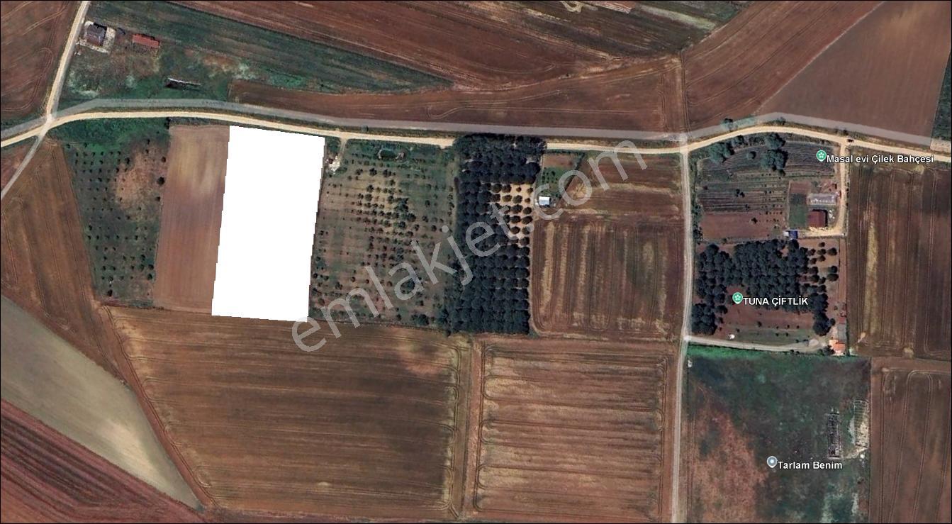 Tekirdağ / Marmaraereğlisi / Çeşmeli’de Kaçmaz Fırsat! İmar Sınırına Komşu Arazi - Görsel 11