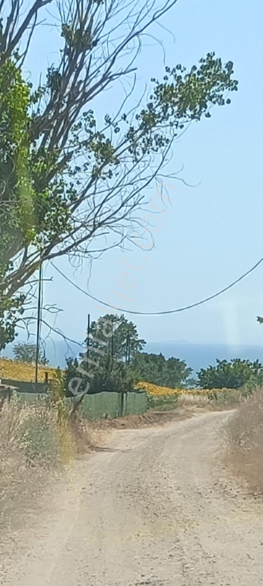 Tekirdağ / Marmaraereğlisi / Çeşmeli’de Kaçmaz Fırsat! İmar Sınırına Komşu Arazi - Görsel 17