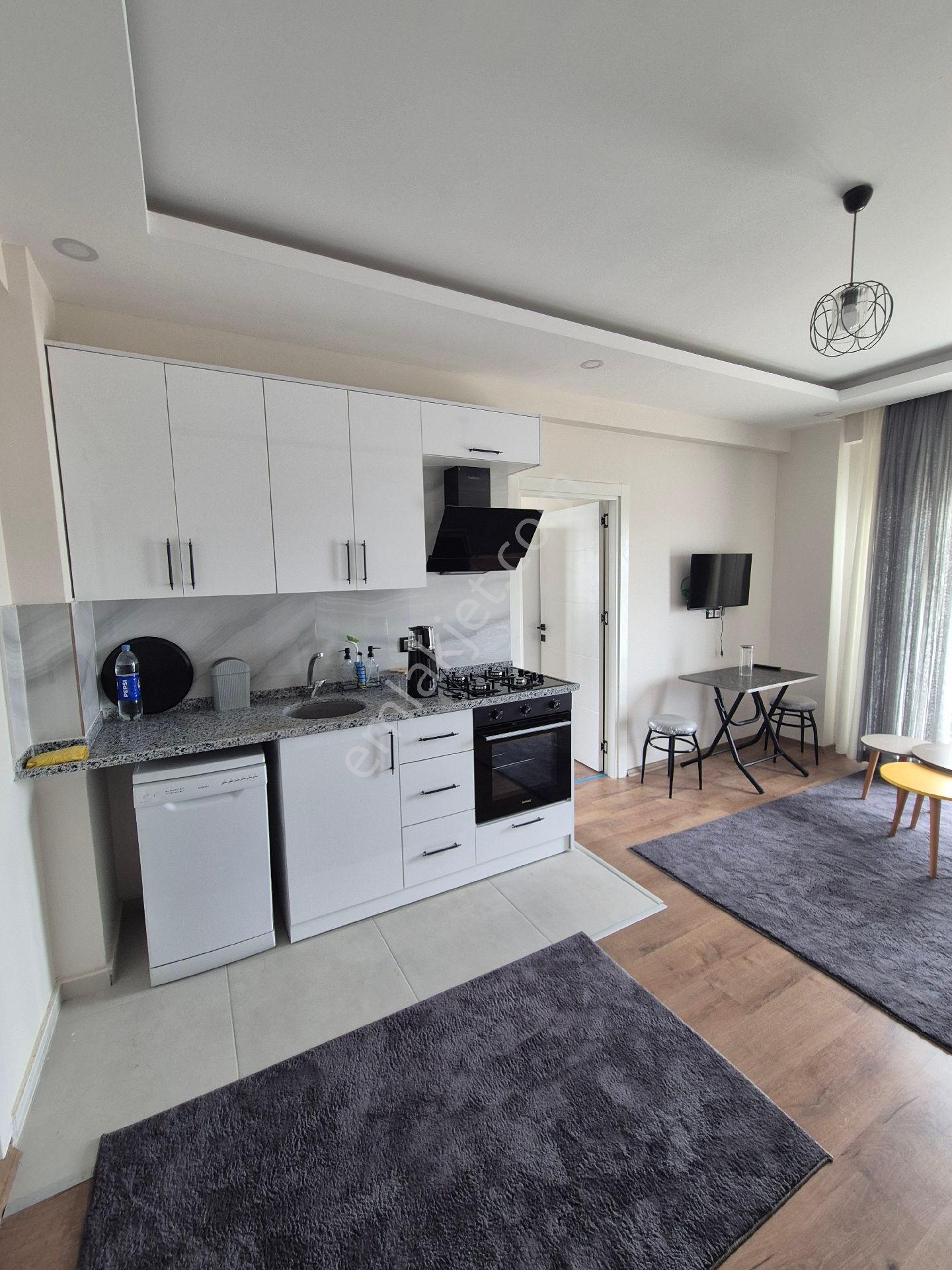 Osmangazi'de 1+1 Full Ve Sıfır Eşyalı İlk Oturan Siz Olun Balkonlu Kiralık Daire - Görsel 2