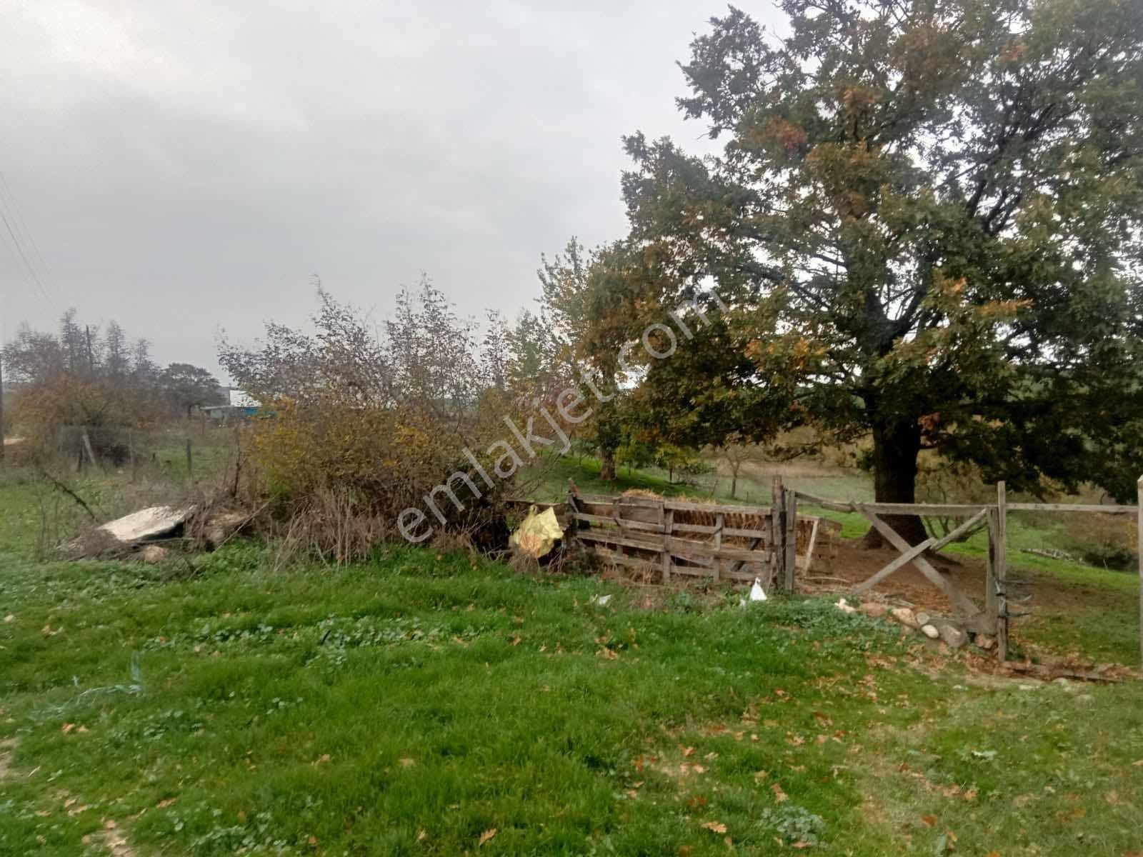 Çanakkale Biga Sinekçi Köyü'nde 360 M2 Satılık İmarlı Arsa - Görsel 3