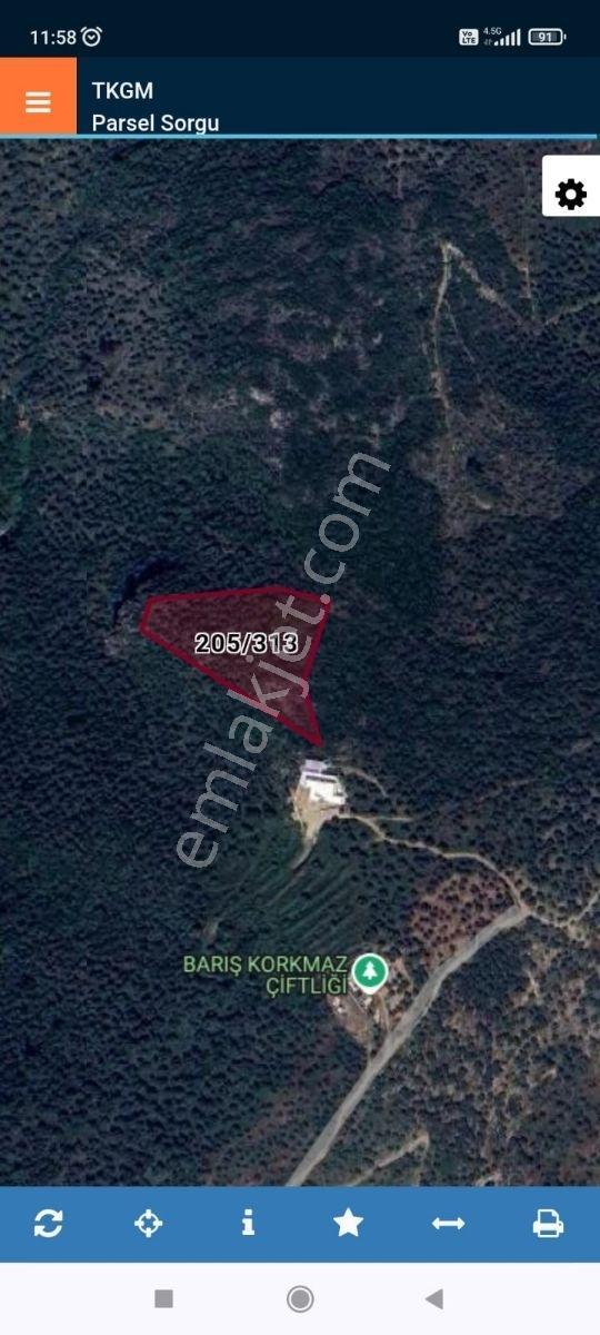 Şirince'de Fırsat! 5900m² Acil Satılık Zeytinlik Müstakil Tapulu - Görsel 7