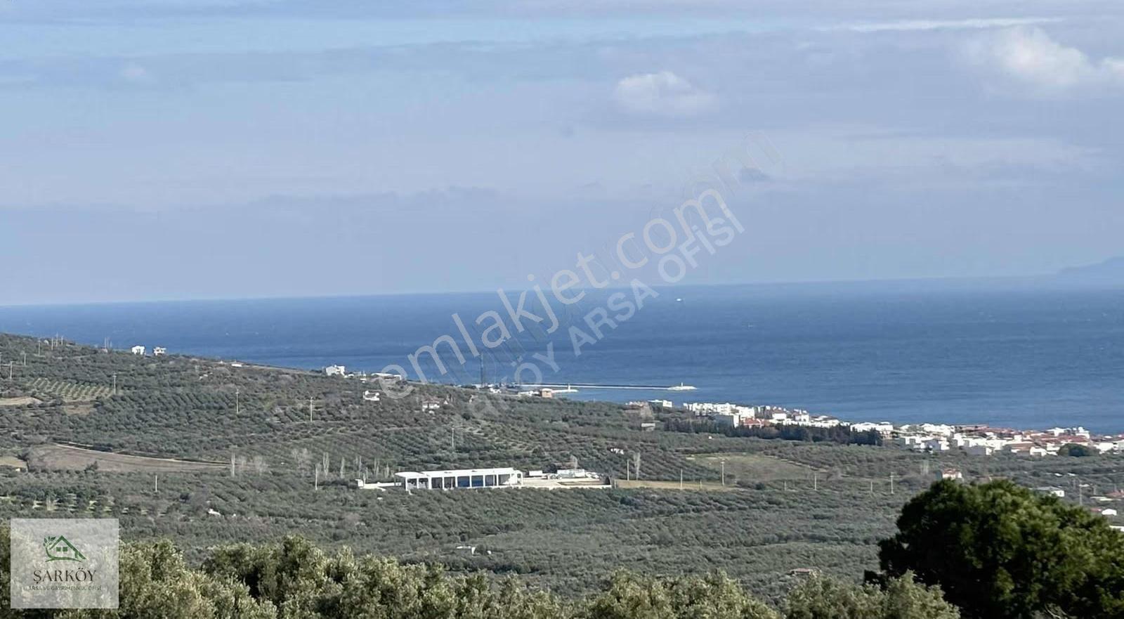 Mürefte'nin En Güzel Deniz Manzaralı En Ön Cephe Arsası 270 M² - Görsel 4
